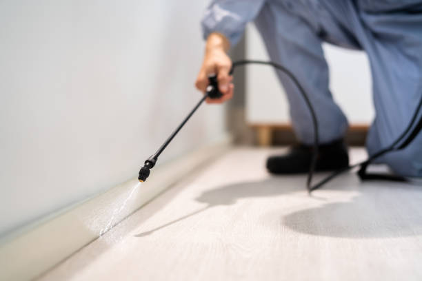 Licensed Mosquito Control service in Enon, OH - Show Me Pest Control