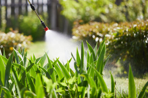 24/7 Emergency Mosquito Control experts in Enon, OH
